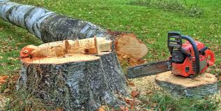 Best Tree Maintenance Programs  in Hartford, WI