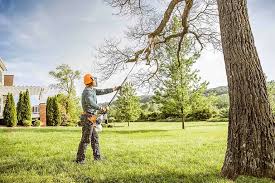 Best Lot and Land Clearing  in Hartford, WI