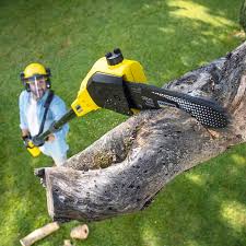Hartford, WI Tree Services Company