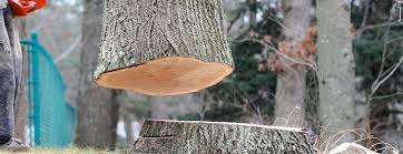 Best Arborist Consultation Services  in Hartford, WI