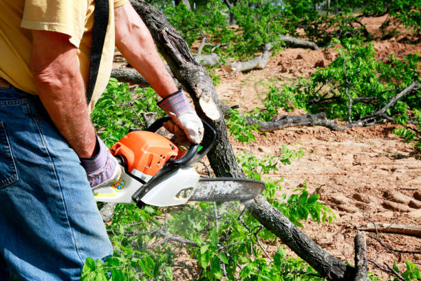 Best Soil Testing and Treatment  in Hartford, WI